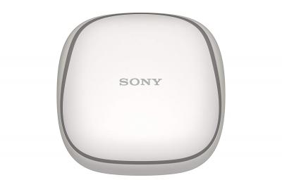 Sony Wireless Noise Canceling Headphones For Sports - WFSP700N/W