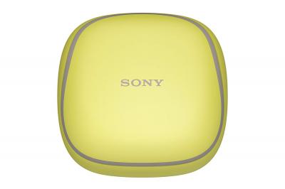 Sony Wireless Noise Canceling Headphones For Sports - WFSP700N/Y