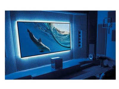 EluneVision 135" 16:9 Aurora NanoEdge ALR 4K Fixed-Frame Screen - EV-ZL-135-1.3