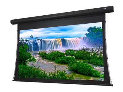 EluneVision 150" 16:9 Ref.4K Acoustic Weave Tab Tension Motorzied Screen EV-T3AW-150-1.15