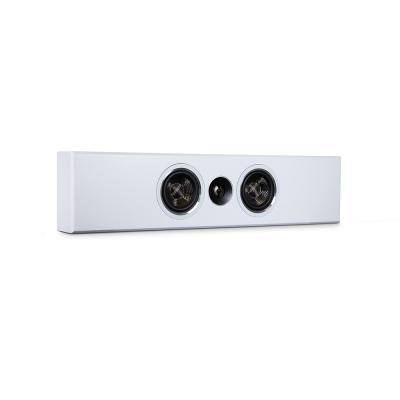 PSB Speakers Slim Profile Premium On-Wall Speaker In Satin White - PWM1 WHT