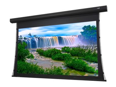 EluneVision 135" 16:9 Ref.4K Acoustic Weave Tab Tension Motorzied Screen EV-T3AW-135-1.15