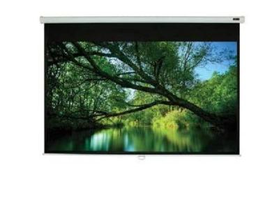 EluneVision 50" x 50" 1:2 Triton Manual Pull-Down Projector Screen - EV-M-50*50-1.2