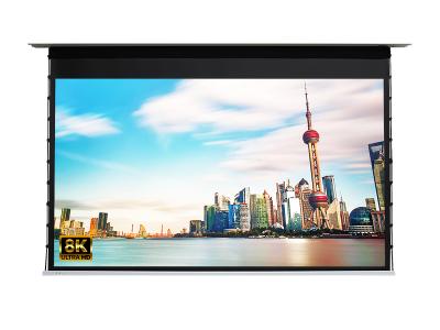 EluneVision Reference EVO 8K In-Ceiling Tab-Tensioned Screen - EV8K-TIC-100-1.0