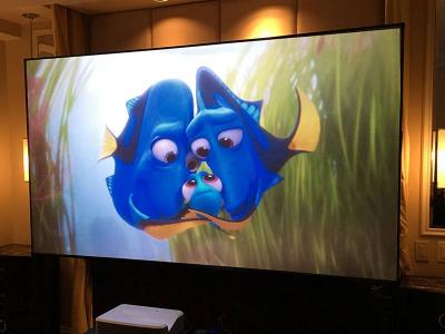 110" EluneVision Reference Projection Screen - EV-UST-110-8K