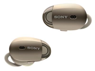 Sony WF1000X/N Earphones Headphone