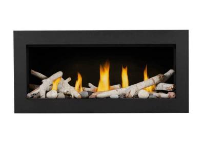 Napoleon Vector 38 See Through Direct Vent Gas Fireplace - LV38N2-1