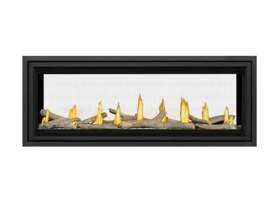 Napoleon Vector 50 See Through Direct Vent Gas Fireplace - LV50N2-2