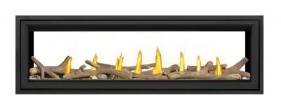 Napoleon Vector 62 See Through Direct Vent Gas Fireplace - LV62N2